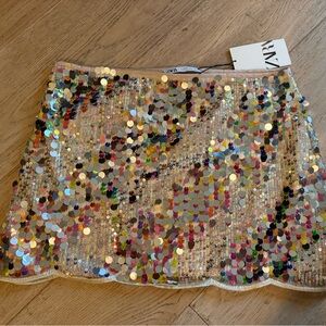 Zara Multicolor Sequin Skirt